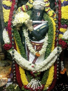 venugopalan-Himavad-karnataka