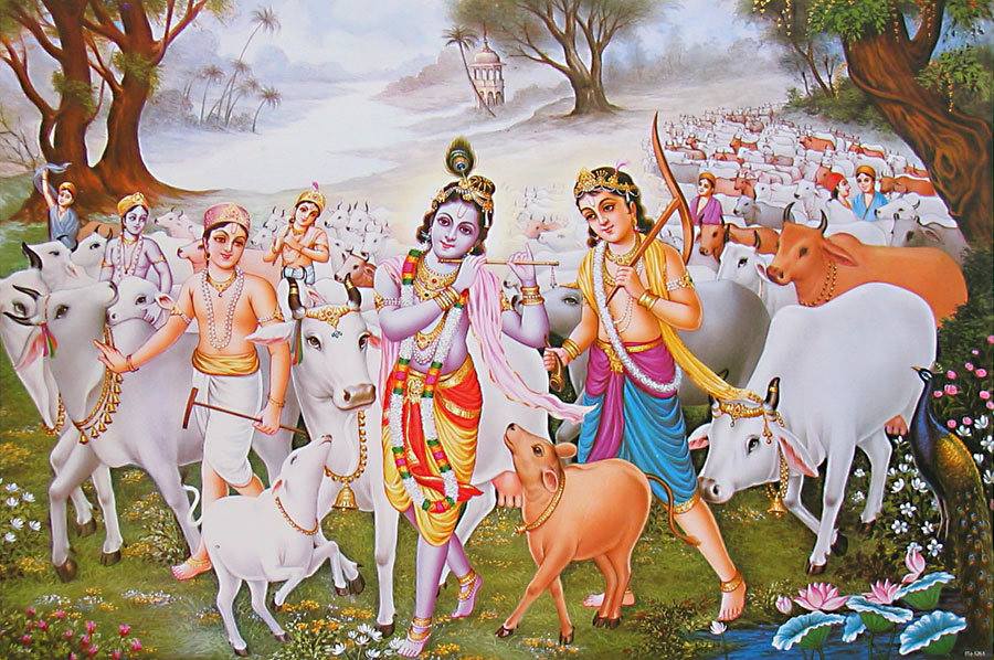 Kamya-van-gopars-return