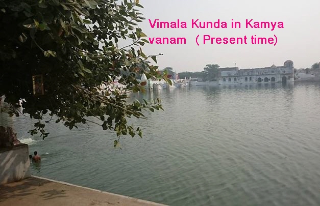 Kamya-vanam-Vimal-kund3