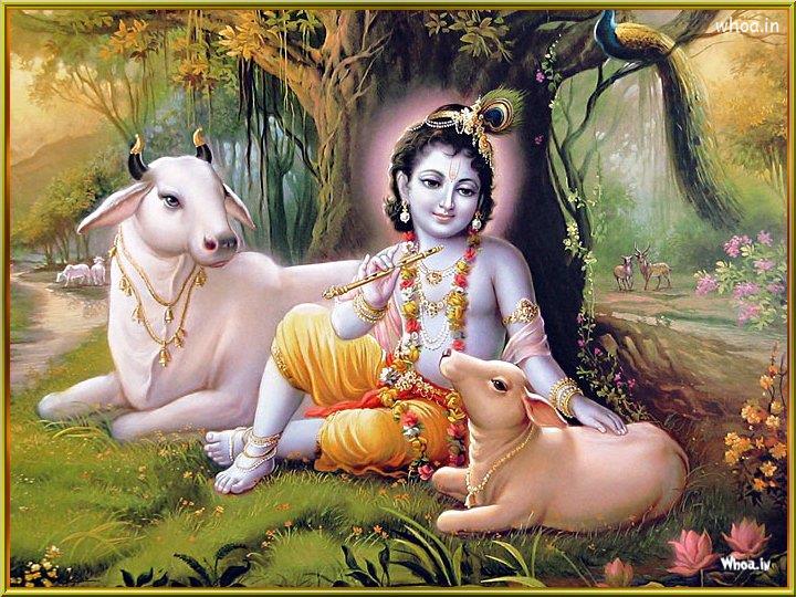 Kamya-vanam-krishna-flute1