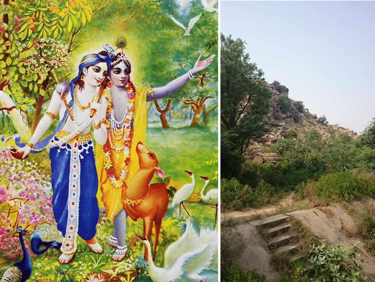 Krishna-Balaram-Kamya-vanam2